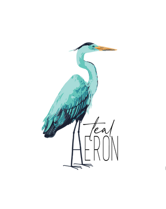 Teal Heron